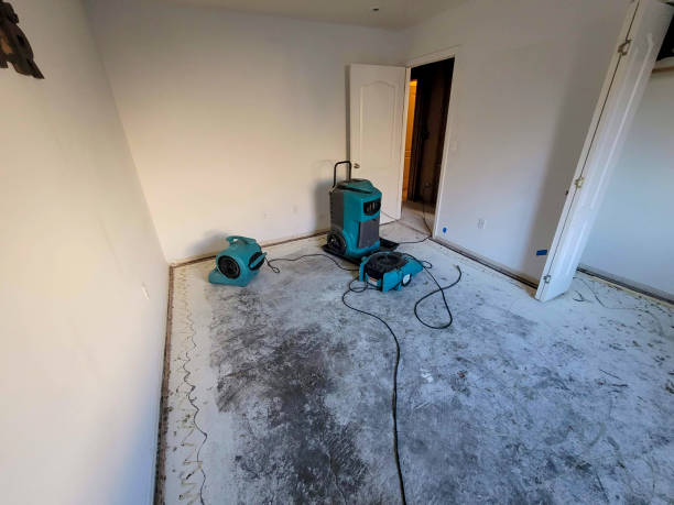 Best Water damage restoration cost  in Porterville, CA