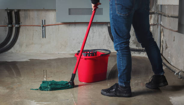 Best Flooded house restoration  in Porterville, CA