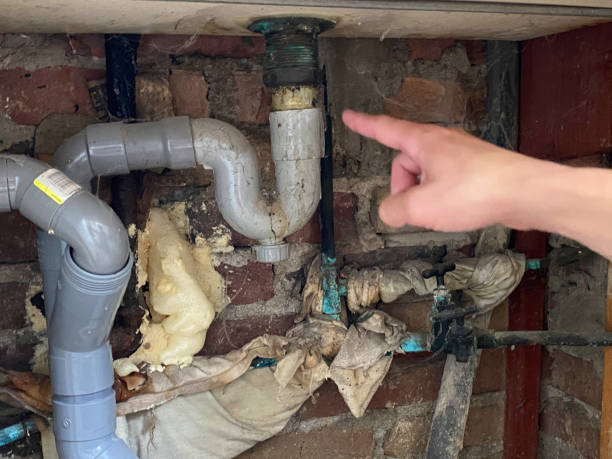Best Flooded house restoration  in Porterville, CA