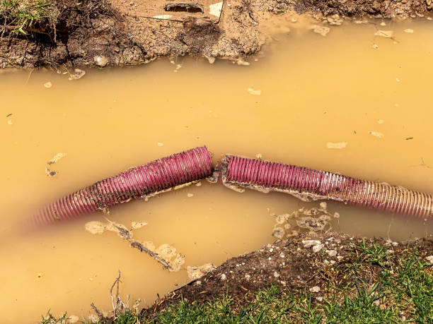 Best Water damage restoration specialists  in Porterville, CA
