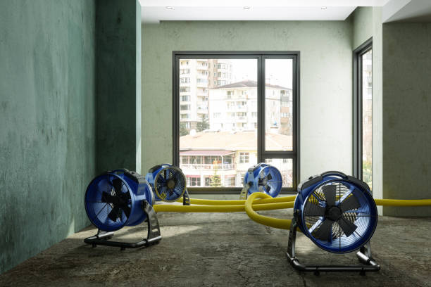 Best Carpet water damage restoration  in Porterville, CA